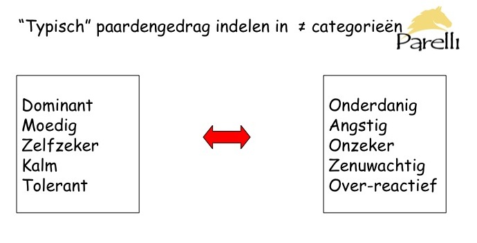 Parelli Horsenality Left Brain Right Brain