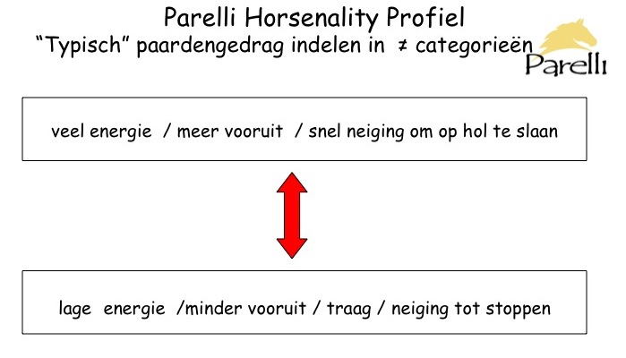 Parelli Horsenality Extrovert introvert