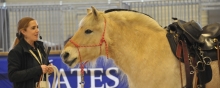 Flanders Horse Expo Parelli Natural Horsemanship